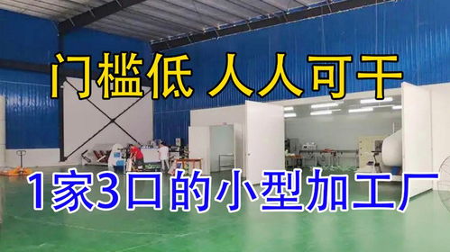 投资不到3万的加工厂,1家3口每天8小时年入55万,用量大 销路广